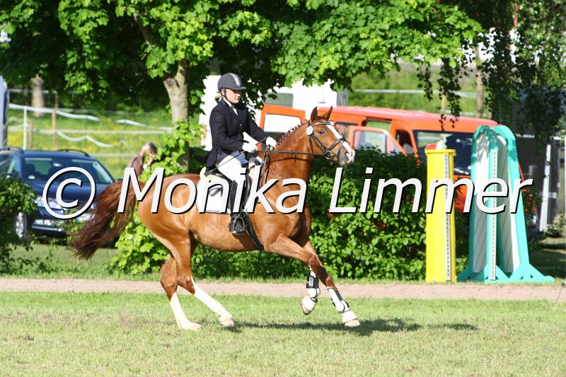 204M4885_Asti Mc Mausi_Spring_Axx.JPG